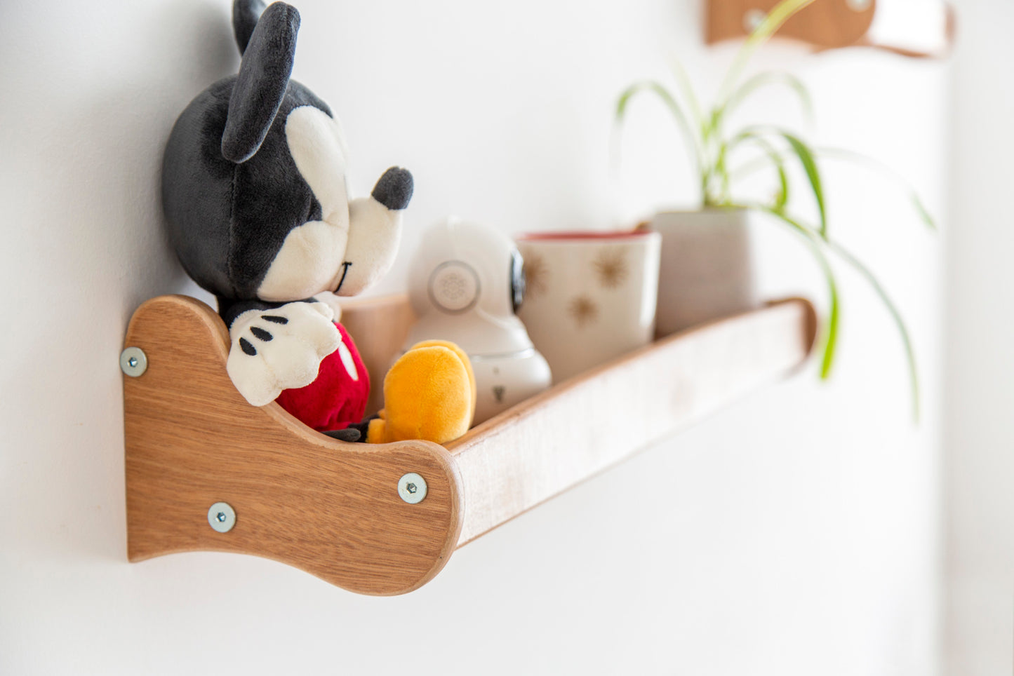 Out-Of-Reach Wall Shelf