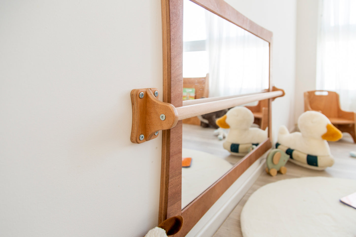 Mirror + Pull-up Bar